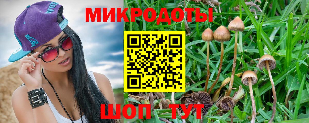 Псилоцибиновые грибы Magic Shrooms Светлоград